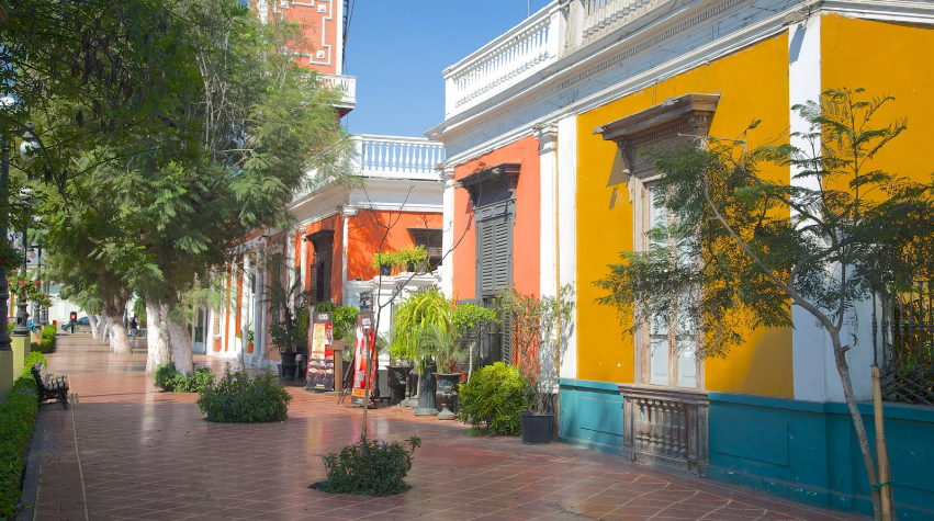 Barranco es famoso por su escena artística, visita el Puente de los Suspiros y explora las galerías de arte como el Museo de Arte Contemporáneo. Descubre los bares y peñas en Barranco, como Ayahuasca Bar, para experimentar la animada vida nocturna.